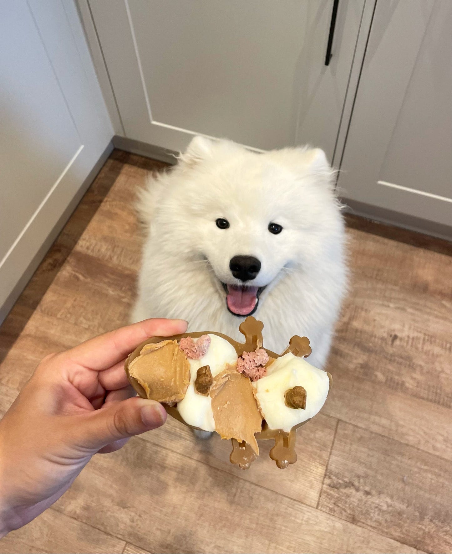 Peanut Butter Crocodile