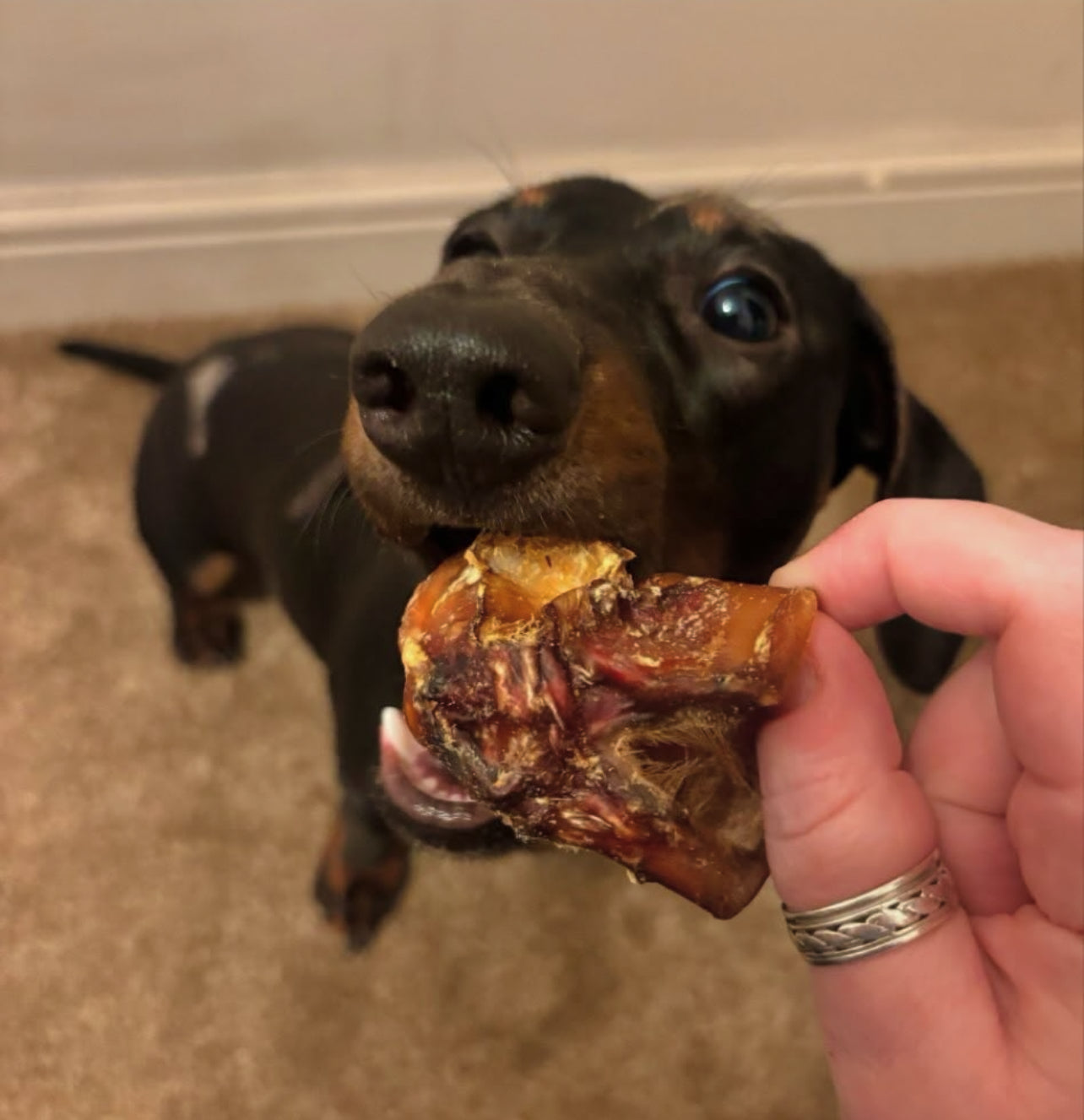 Naturals Bully Bites