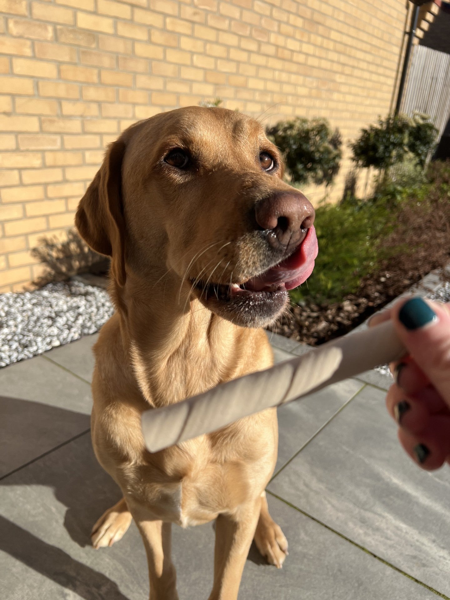 Flavour Filled Twists