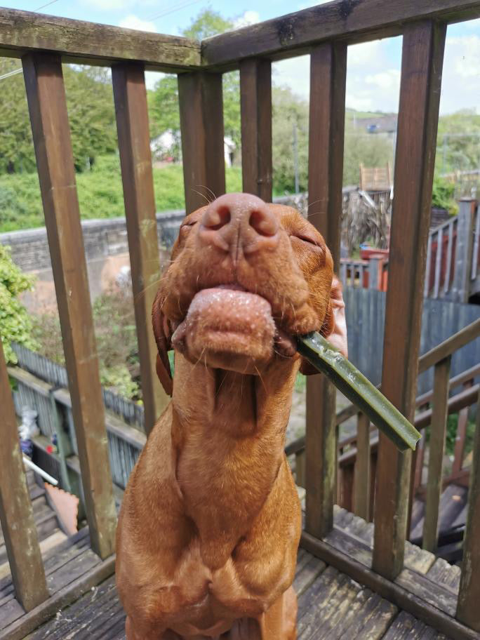 Fruit & Veg Star Sticks