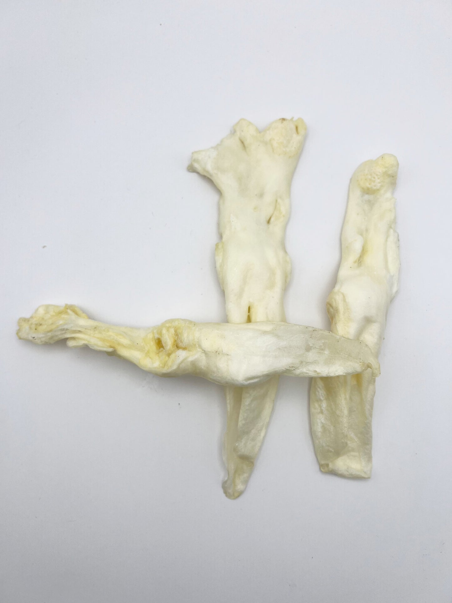 Naturals Puffed Rabbit Ears