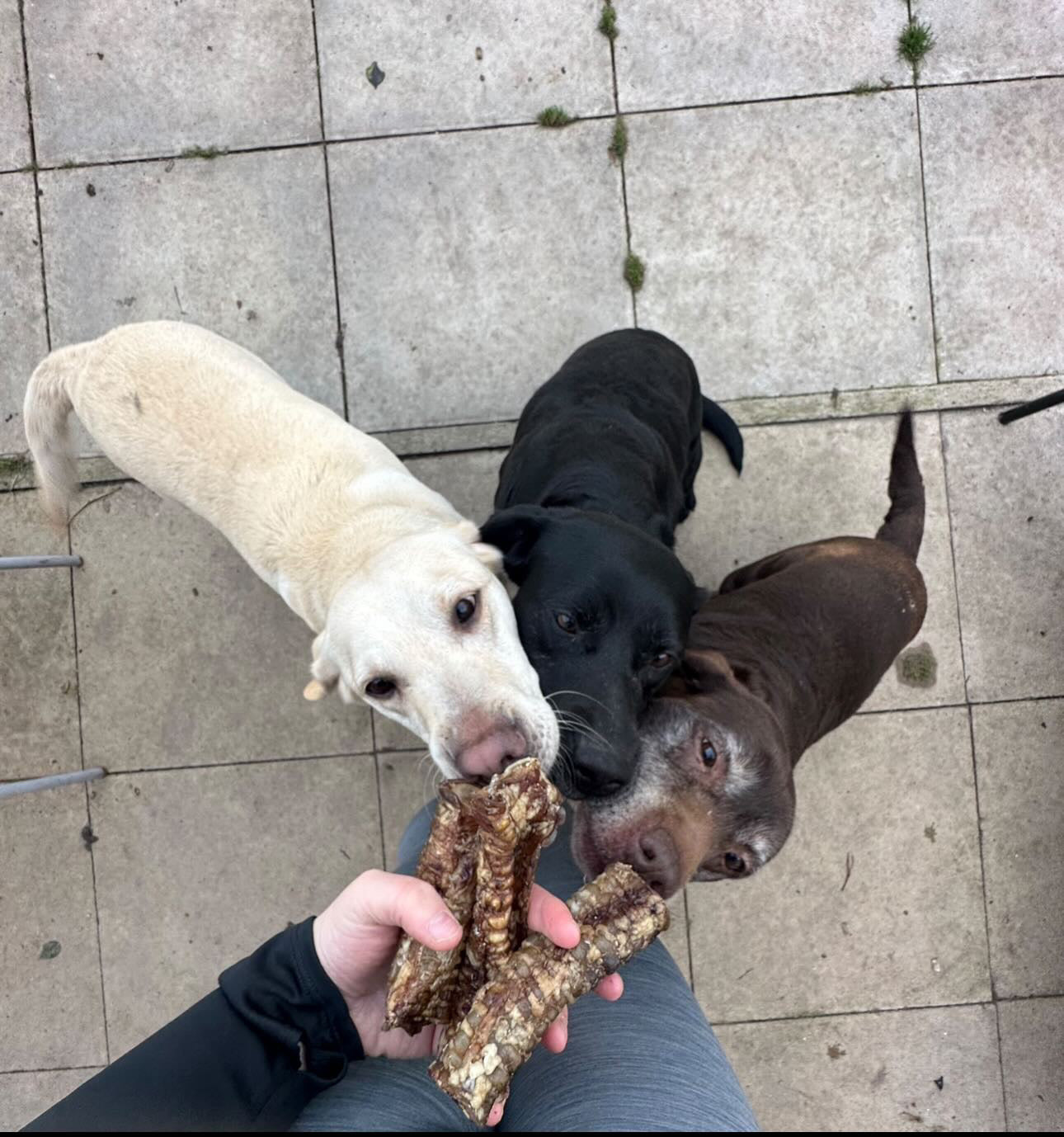 Naturals Beef Trachea