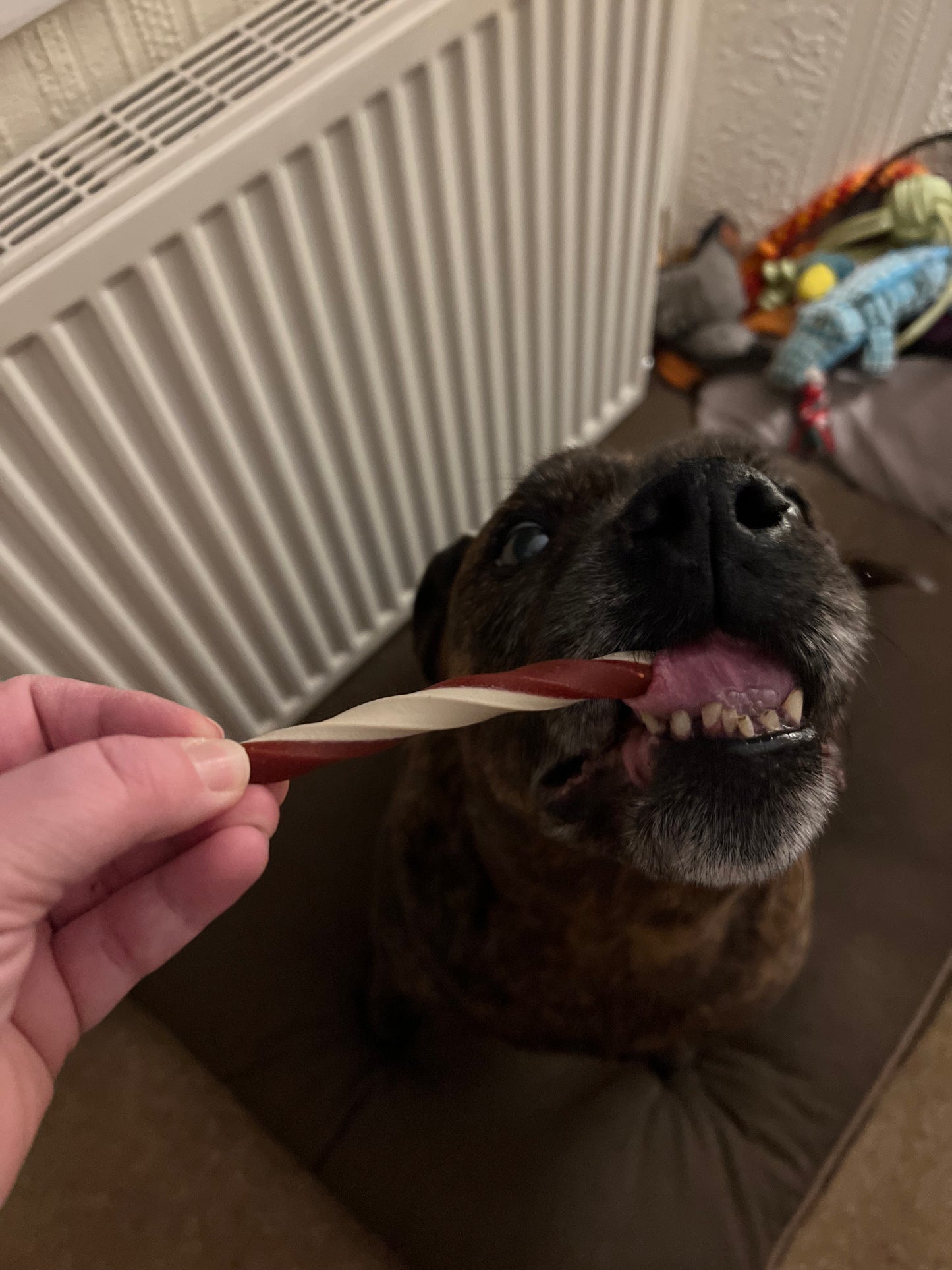 Cheese & Tomato Straws