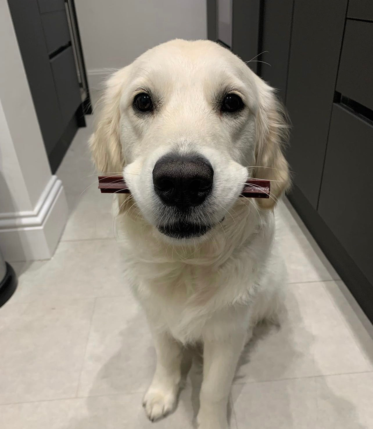 Fruit & Veg Star Sticks