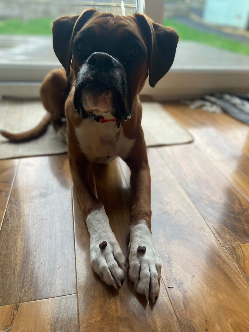 Naturals Fish Treats