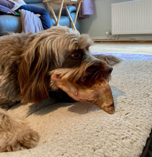 Naturals Pig Ear