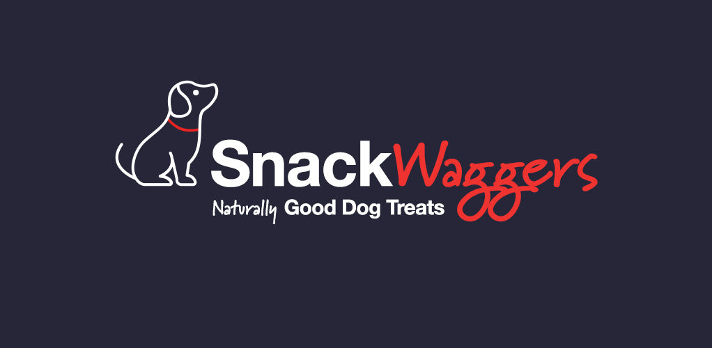 A New Lead in Life: Welcome to SnackWaggers!