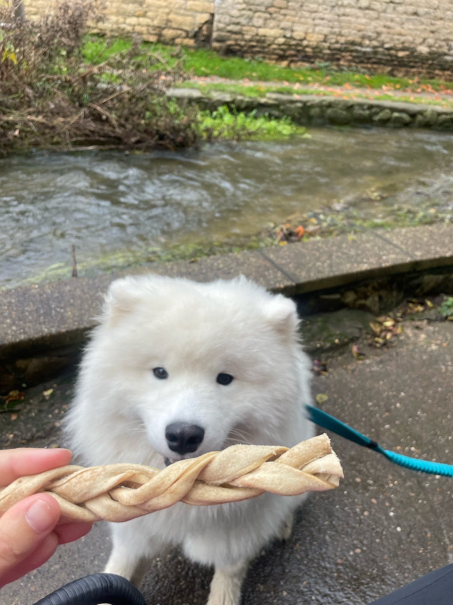 Naturals Lamb Braid