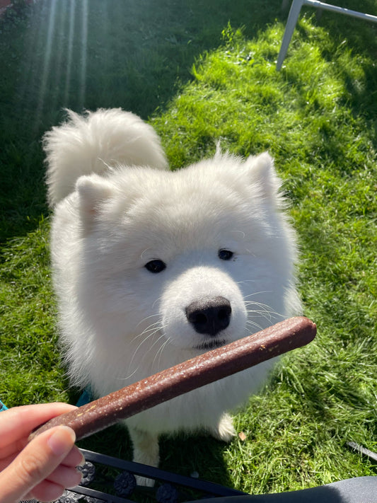 Large Gourmet Sausages