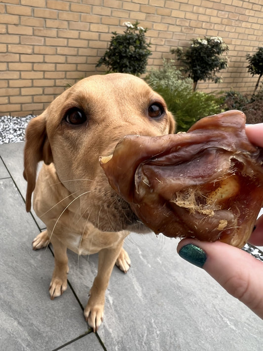 Naturals Porky Bites