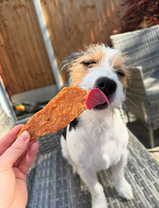 Chicken Jerky