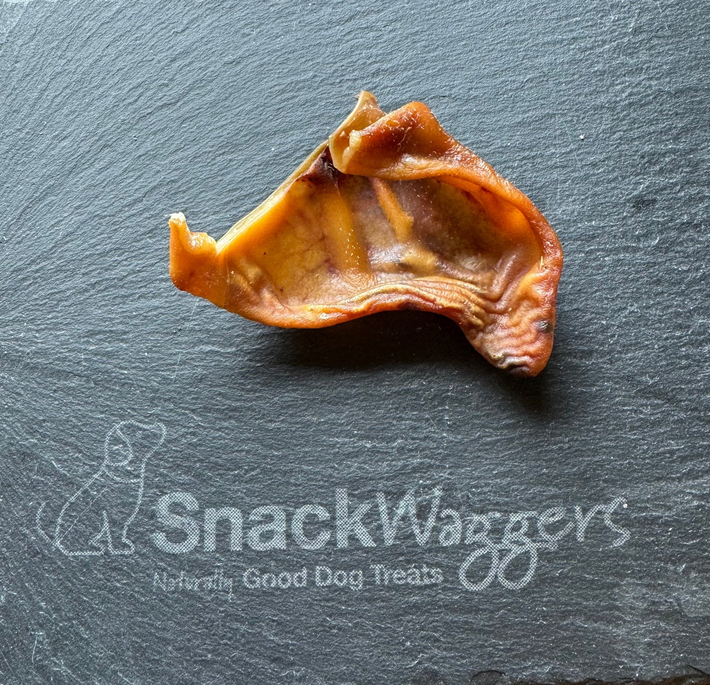 *Smaller than normal* Pig Ear