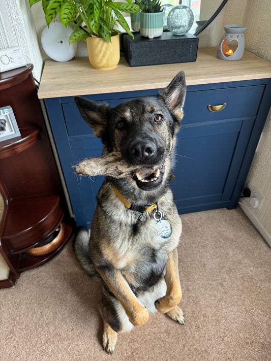 Naturals Venison Ear with Fur (15cm)