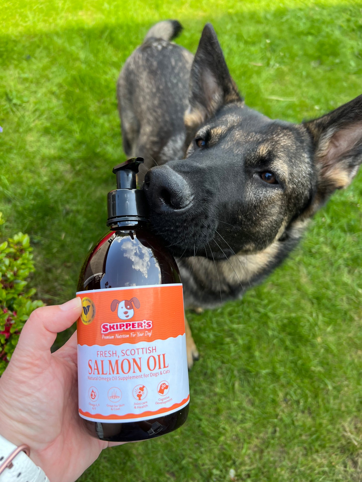 Skippers Salmon Oil for Dogs