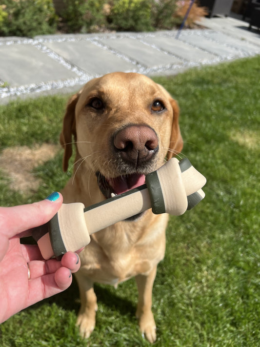 Veggie Knotted Bones