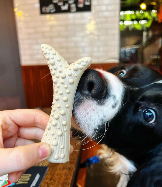 Peanut Butter Filled Antler