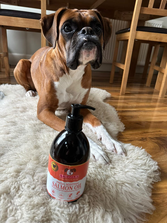 Skippers Salmon Oil for Dogs