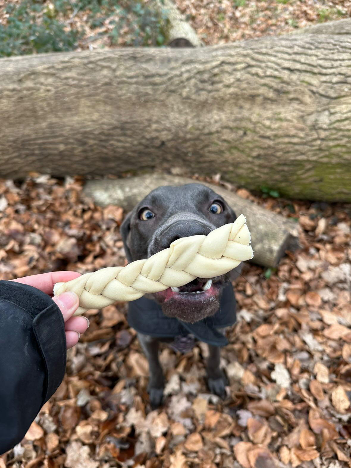 Naturals Lamb Braid