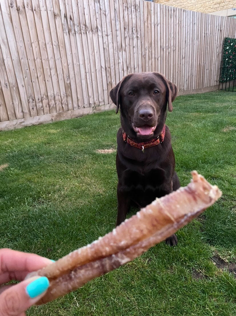 Naturals Lamb Trachea